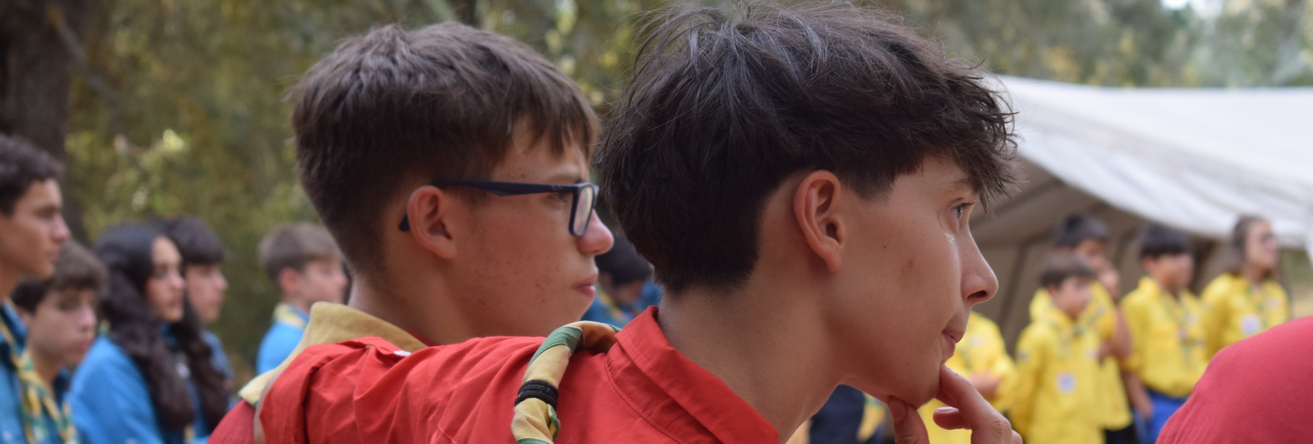 banner_2026_1